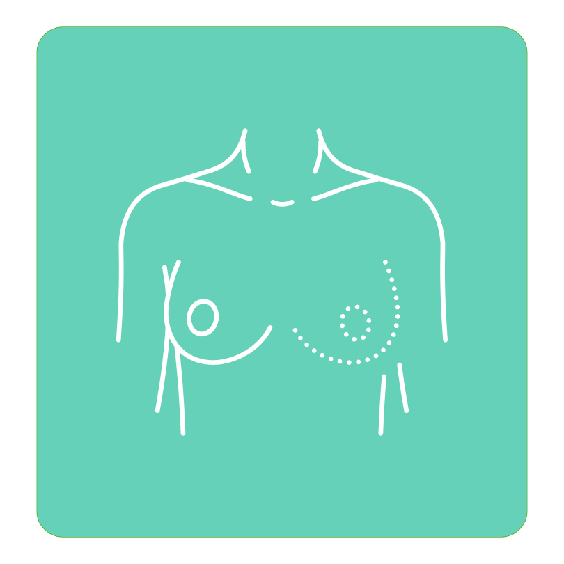 Icon Rekonstruktion